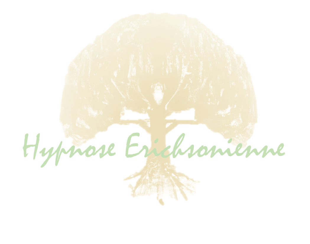 Logo Stéphanie Morice